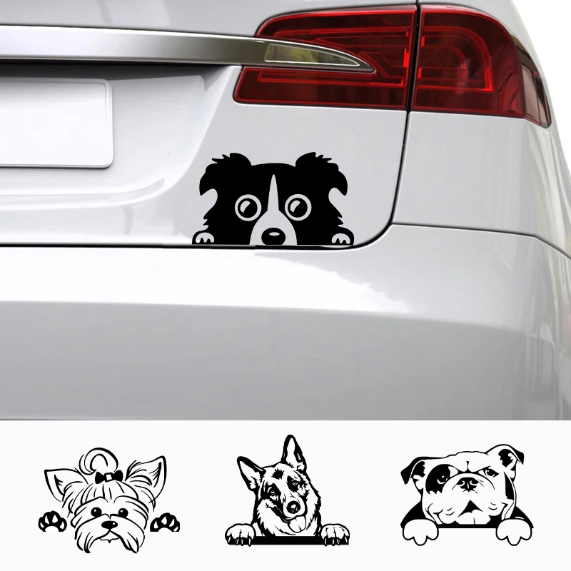 Cars Accessorie Decals Funny D - Laptop Accessories Name review and price